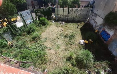 Mantenimiento del terreno