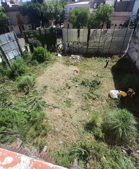 Mantenimiento del terreno